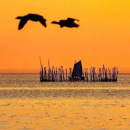 Belle Lit King Size Quarto em Acomodações Particulares *