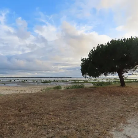 Belle Lit King Size Homestay Ares