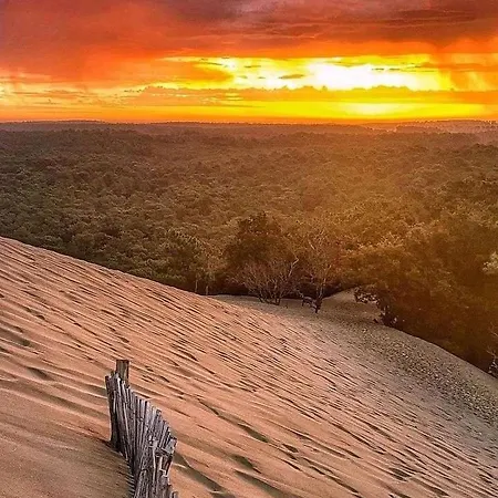 Homestay Belle Lit King Size *