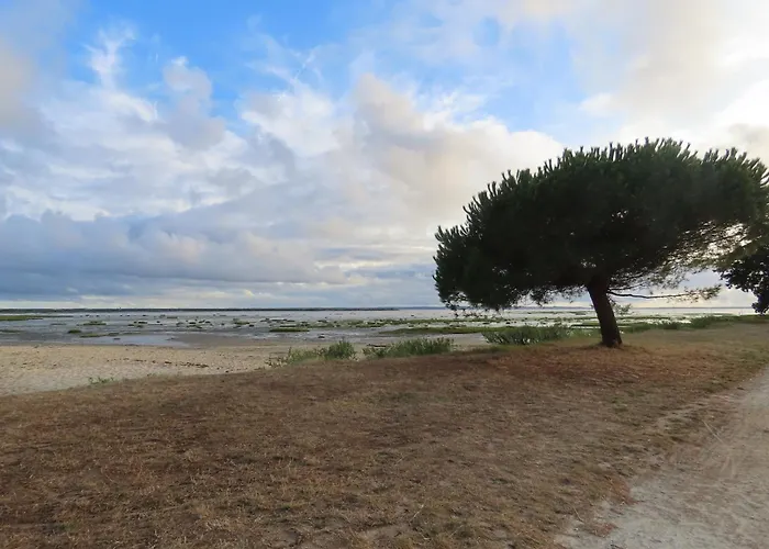 Belle Lit King Size בית אירוח ארס